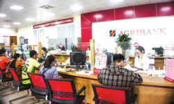 Lịch làm việc ngân hàng Agribank mới nhất trong năm 2025