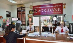 Cách vay vốn ngân hàng Agribank không thế chấp năm 2024