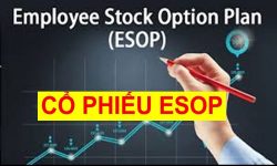 Cổ phiếu ESOP là gì? Lợi ích khi sở hữu cổ phiếu ESOP