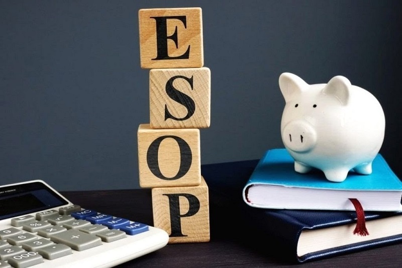 Hiểu rõ cổ phiếu ESOP là gì sẽ có cách đầu tư đúng