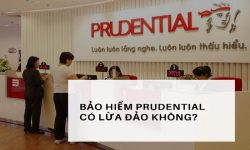 Công ty tài chính Prudential lừa đảo? Cách vay tín chấp