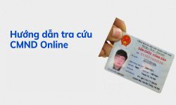 Hướng dẫn cách tra cứu số căn cước công dân Online đơn giản 2024