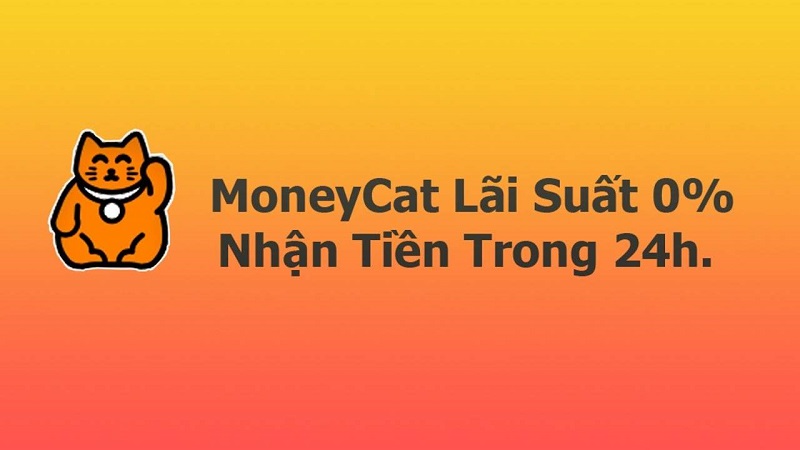 MoneyCat là gì?