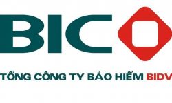 Bảo hiểm thai sản BIC có tốt không?