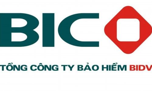 Bảo hiểm thai sản BIC có tốt không?