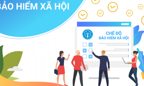 Bảo hiểm xã hội là gì? Tìm hiểu về Bảo hiểm xã hội và các chế độ BHXH tại Việt Nam