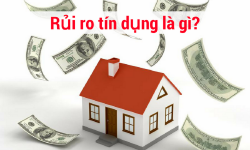 Rủi ro tín dụng là gì? Nguyên nhân và hậu quả ra sao?