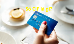 Số CIF là gì? Khi nào sử dụng số CIF?