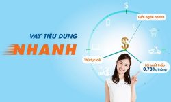Review 6 đơn vị cho vay tiêu dùng lãi suất thấp uy tín 2025