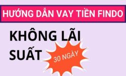 Review Findo – Vay 15 triệu 0% lãi suất trong 30 ngày (2024)